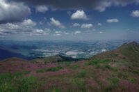 no name ( ID=2574692 ); comments:2