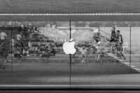 no name ( ID=2574697 ); comments:1