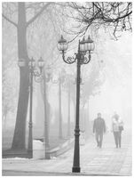 без име ( ID=2574698 ); Коментари:20