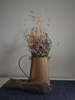 ***; Коментари:1