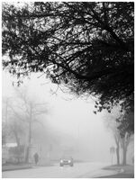 no name ( ID=2574711 ); comments:14