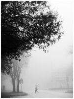 Едно мъгливо утро; Коментари:17