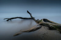 no name ( ID=2574731 ); comments:3