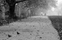 no name ( ID=2574733 ); comments:12