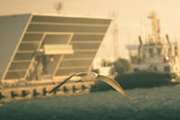 Морска гара Бургас; Коментари:1