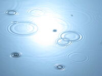 no name ( ID=2574752 ); No comments