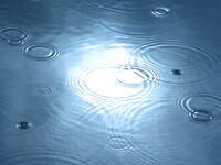 без име ( ID=2574753 ); Коментари:1