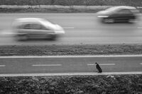 no name ( ID=2574761 ); comments:33