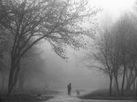 no name ( ID=2574766 ); comments:22