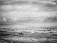 без име ( ID=2574779 ); Коментари:40