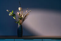 no name ( ID=2574792 ); comments:5