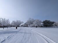 без име ( ID=2574837 ); Коментари:2