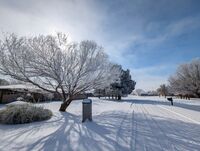 no name ( ID=2574838 ); comments:2