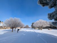 без име ( ID=2574839 ); Коментари:1