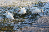 Красота, която оцелява!; comments:3