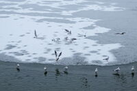 Всеки със своите си дела; comments:4