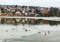 no name ( ID=2574854 ); comments:4