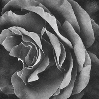 Фрагменти; comments:5