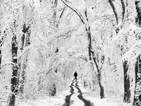 no name ( ID=2574857 ); comments:15