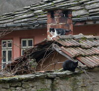 no name ( ID=2574859 ); comments:4