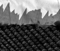 Изправени сенки; comments:4