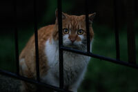 no name ( ID=2574881 ); comments:2