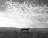 Безвремие...; Коментари:4