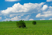 без име ( ID=2574907 ); Коментари:3