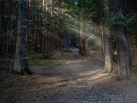 no name ( ID=2574914 ); comments:4