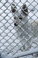 През мрежата; No comments