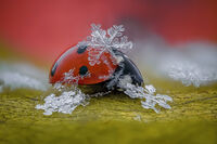 no name ( ID=2574929 ); comments:13