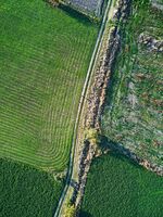 Автопортрет отдалече; comments:1