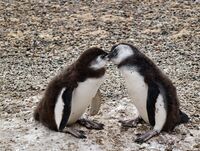 no name ( ID=2574936 ); comments:7