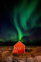 Пушек ...; comments:5