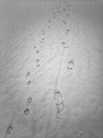 Ние.....; comments:1