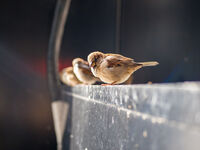 no name ( ID=2574966 ); comments:2