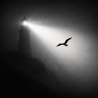 светлина в мрака (буревестник); comments:48