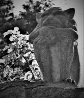 no name ( ID=2574979 ); comments:2