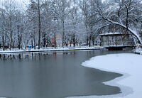 no name ( ID=2574996 ); comments:4