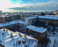 из Шумен-мразовито утро; No comments