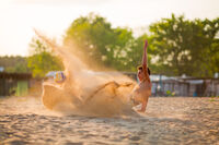 Футболна фиеста; comments:9