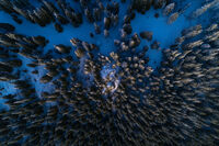 Самотната скала; Няма коментари