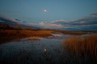 Лунна вечер; comments:7