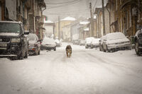 без име ( ID=2575066 ); Коментари:7