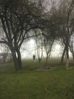 Загадачния индивид; comments:1