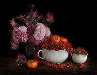 no name ( ID=2575102 ); comments:33