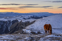 no name ( ID=2575141 ); comments:17