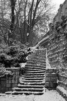 Добре дошла в зимата!; comments:2