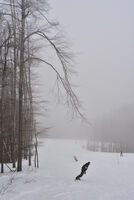 без име ( ID=2575172 ); Няма коментари