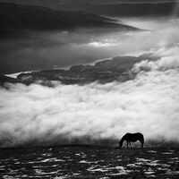 no name ( ID=2575175 ); comments:8